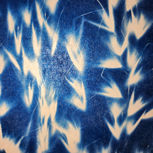 Apéro Atelier lampe cyanotype • 08 juillet