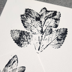 Atelier Impressions Végétales• 28 mars
