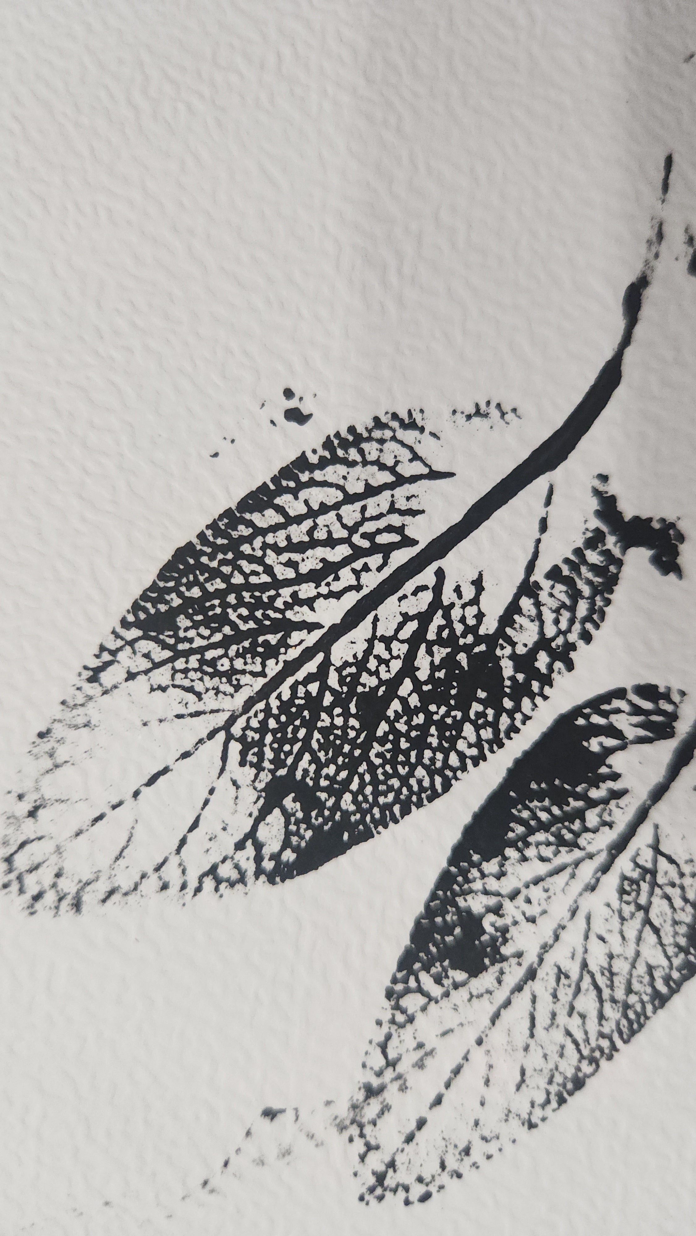 Atelier Impressions Végétales• 28 mars