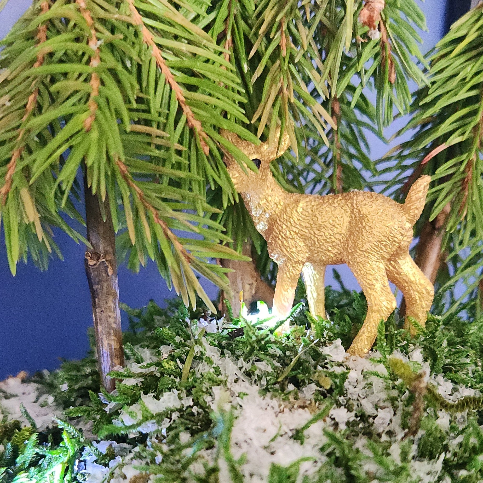 Atelier Kokedama de Noël - vendredi 5 décembre