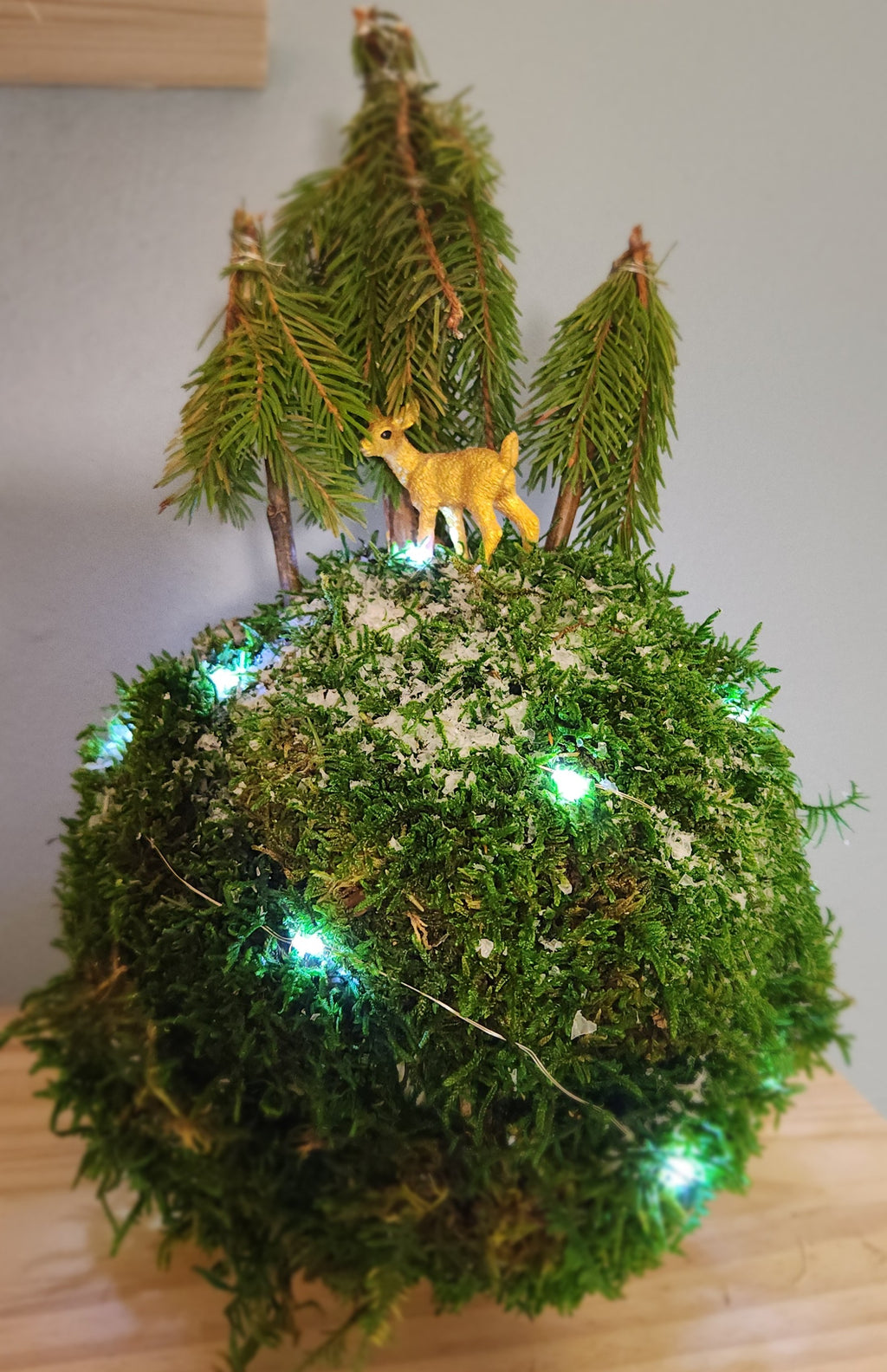 Atelier Kokedama de Noël - vendredi 5 décembre
