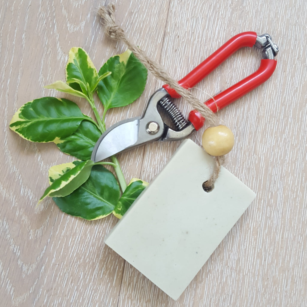 Savons de jardinier à l'argile • 14 juin