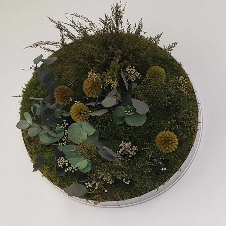Atelier Composition en mousse stabilisé - 23 octobre