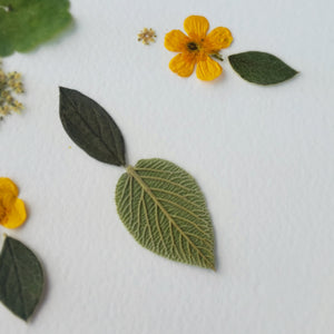Atelier Herbier Fleuri - 2 octobre