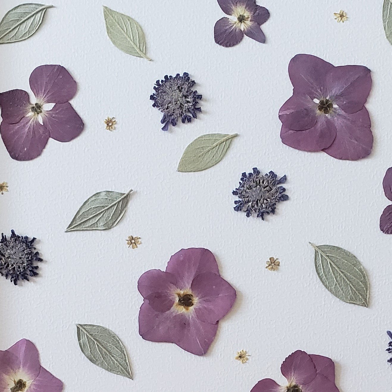 Atelier Herbier Fleuri - 2 octobre