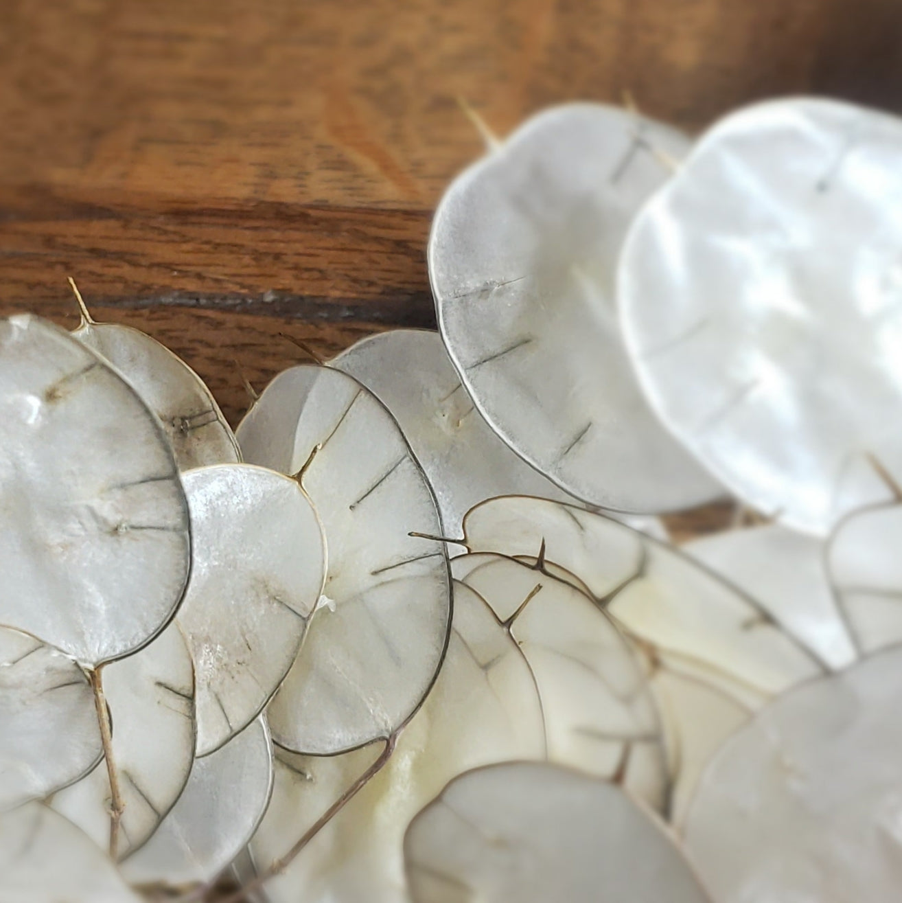 Couronne en lunaire   • 15 octobre