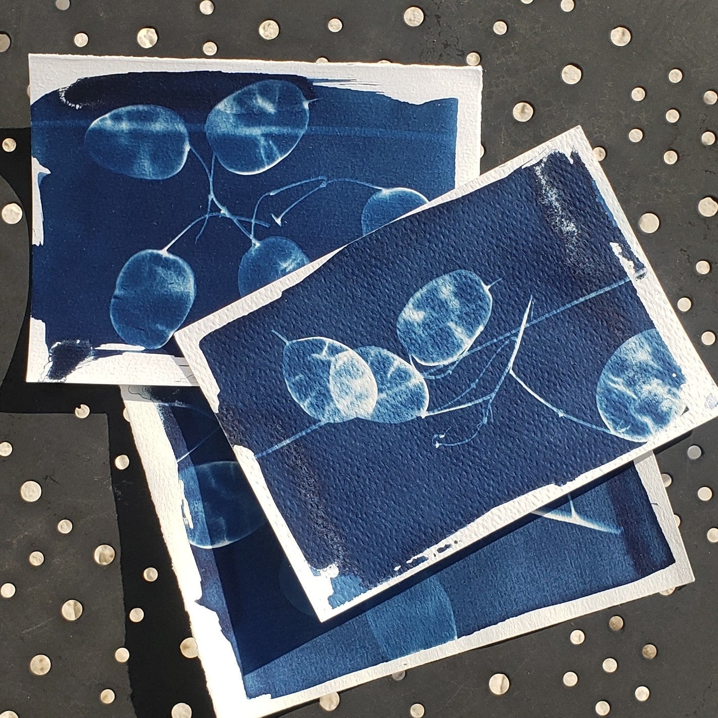 Atelier Cyanotype - 20 mai