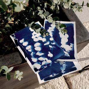 Atelier Cyanotype - 04 mars