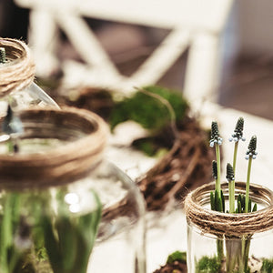 Atelier TERRARIUM  • 14 septembre