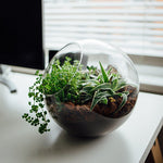 Atelier TERRARIUM fermé • 08 avril