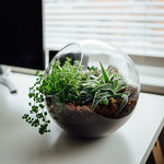 Atelier TERRARIUM  • 13 avril