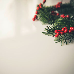 La couronne de l'avent • 1er décembre